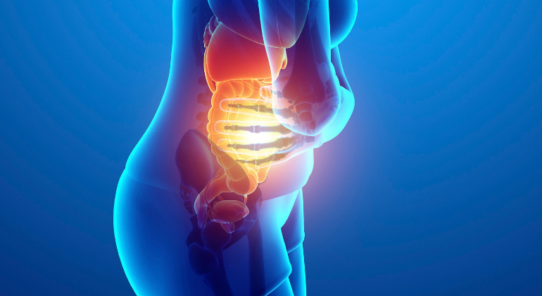 3D illustration of a person holding their abdominal area with highlighted internal organs, showing inflammation or pain in the stomach and digestive tract.
